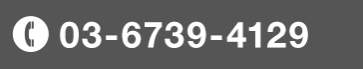 03-6739-4129